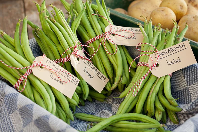 Verschillende soorten bonen